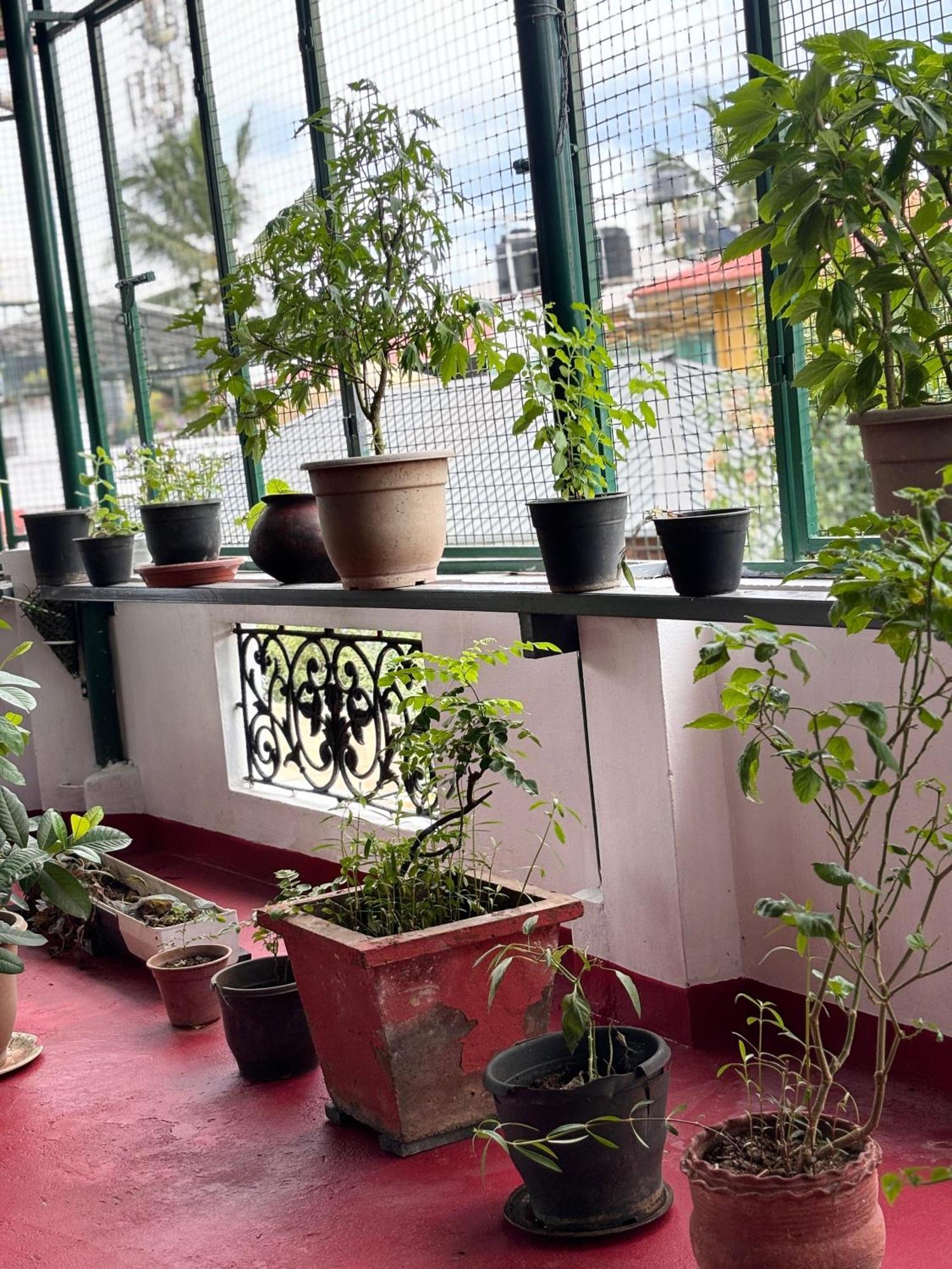 Beza Homestay Kochi Exteriör bild